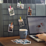 polaroid photo clips