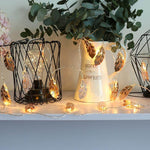 LED Feather Sting Lights