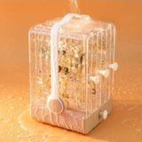 High Capacity Earring Holder